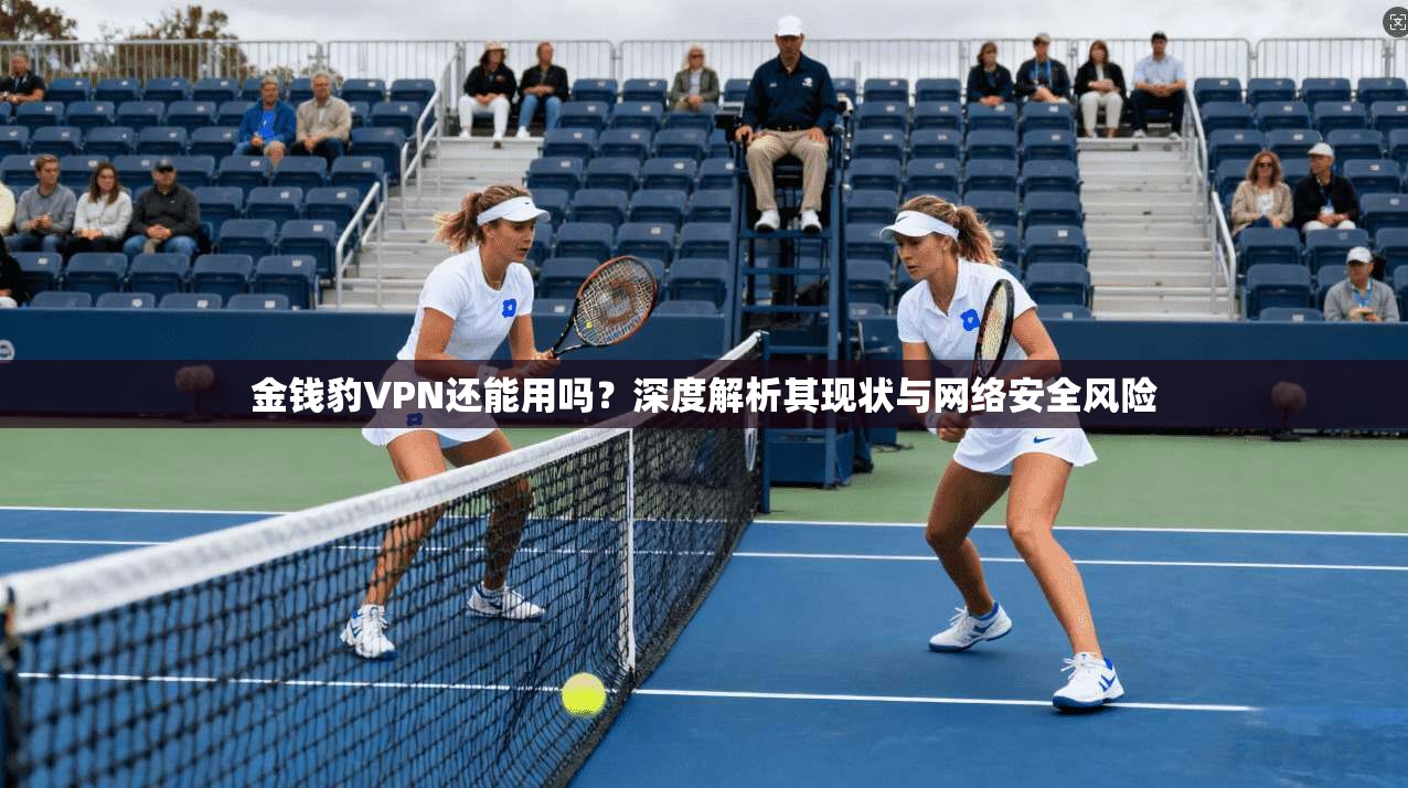 金钱豹VPN还能用吗?深度解析其现状与网络安全风险 金钱豹VPN还能用吗?深度解析其现状与网络安全风险