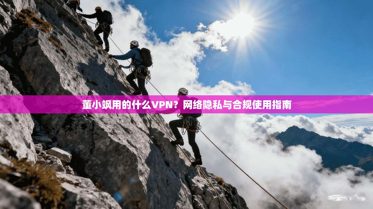 董小飒用的什么VPN？网络隐私与合规使用指南