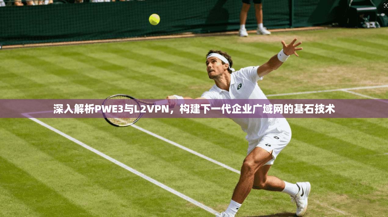 深入解析PWE3与L2VPN,构建下一代企业广域网的基石技术 深入解析PWE3与L2VPN,构建下一代企业广域网的基石技术