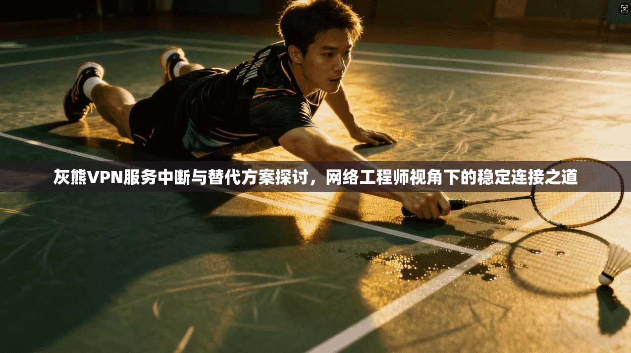 灰熊VPN服务中断与替代方案探讨，网络工程师视角下的稳定连接之道