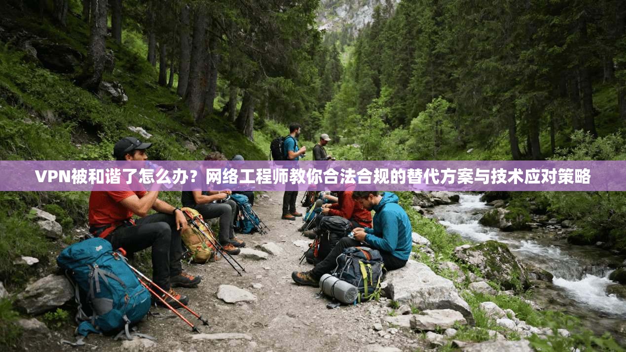 VPN被和谐了怎么办?网络工程师教你合法合规的替代方案与技术应对策略 VPN被和谐了怎么办?网络工程师教你合法合规的替代方案与技术应对策略