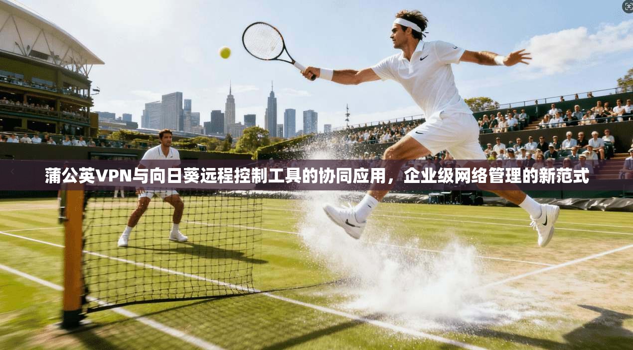 蒲公英VPN与向日葵远程控制工具的协同应用，企业级网络管理的新范式