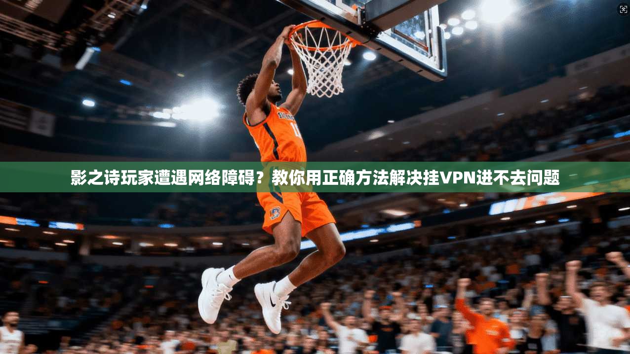 影之诗玩家遭遇网络障碍?教你用正确方法解决挂VPN进不去问题 影之诗玩家遭遇网络障碍?教你用正确方法解决挂VPN进不去问题