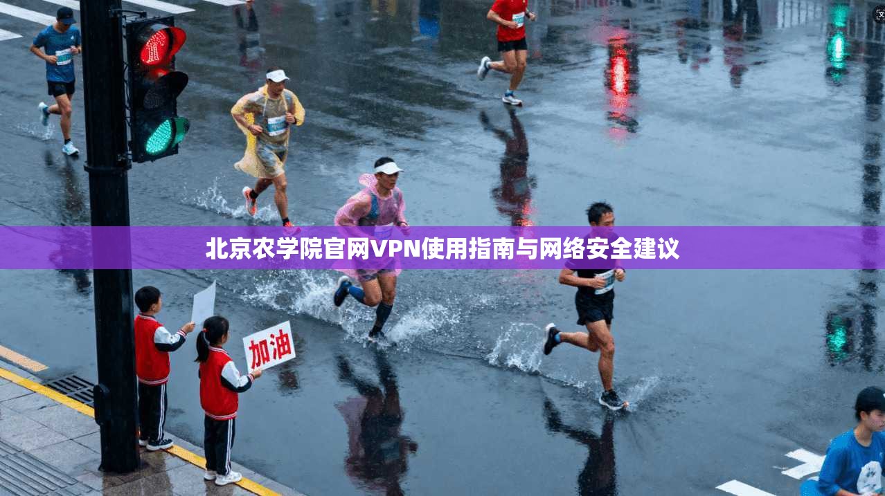 北京农学院官网VPN使用指南与网络安全建议