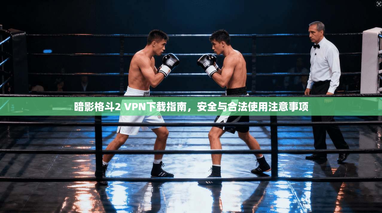 暗影格斗2 VPN下载指南,安全与合法使用注意事项 暗影格斗2 VPN下载指南,安全与合法使用注意事项