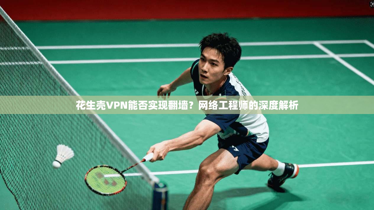 花生壳VPN能否实现翻墙？网络工程师的深度解析