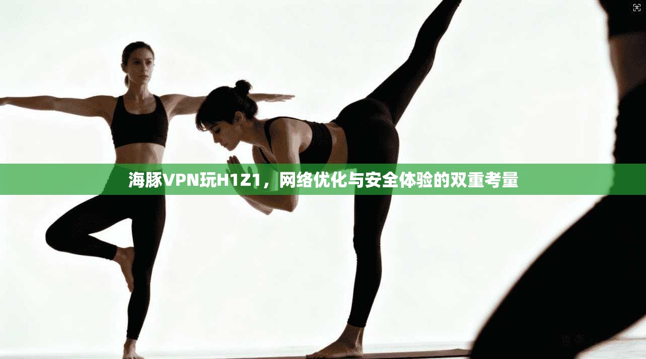 海豚VPN玩H1Z1，网络优化与安全体验的双重考量