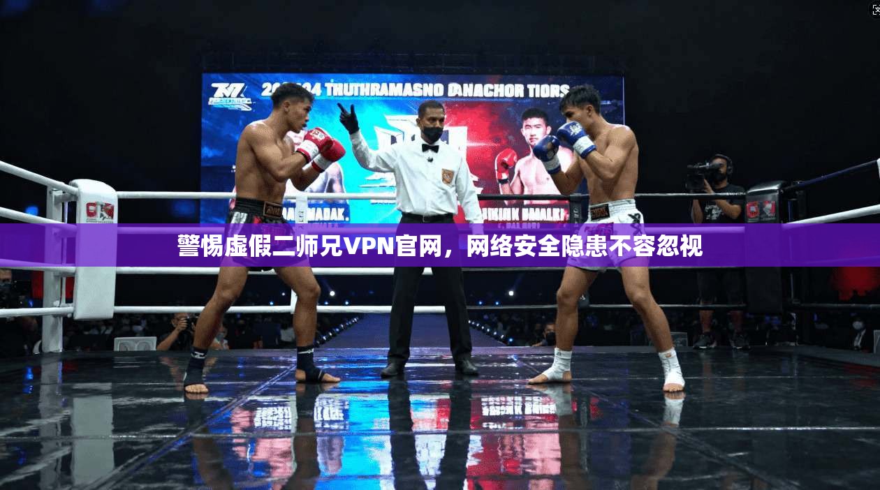 警惕虚假二师兄VPN官网,网络安全隐患不容忽视 警惕虚假二师兄VPN官网,网络安全隐患不容忽视
