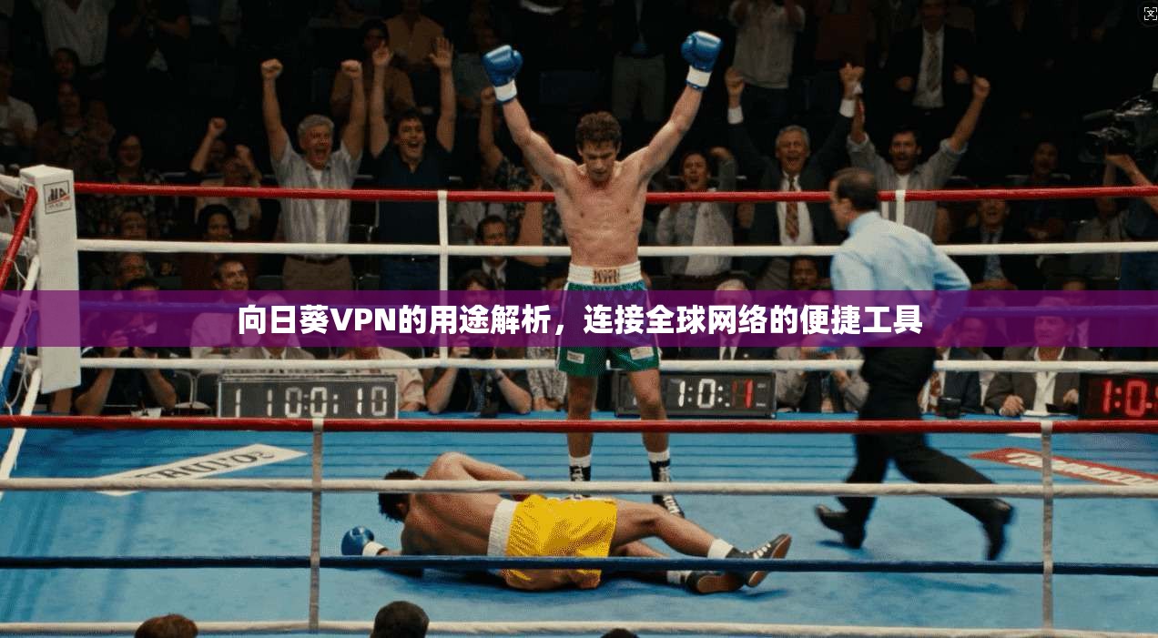 向日葵VPN的用途解析，连接全球网络的便捷工具