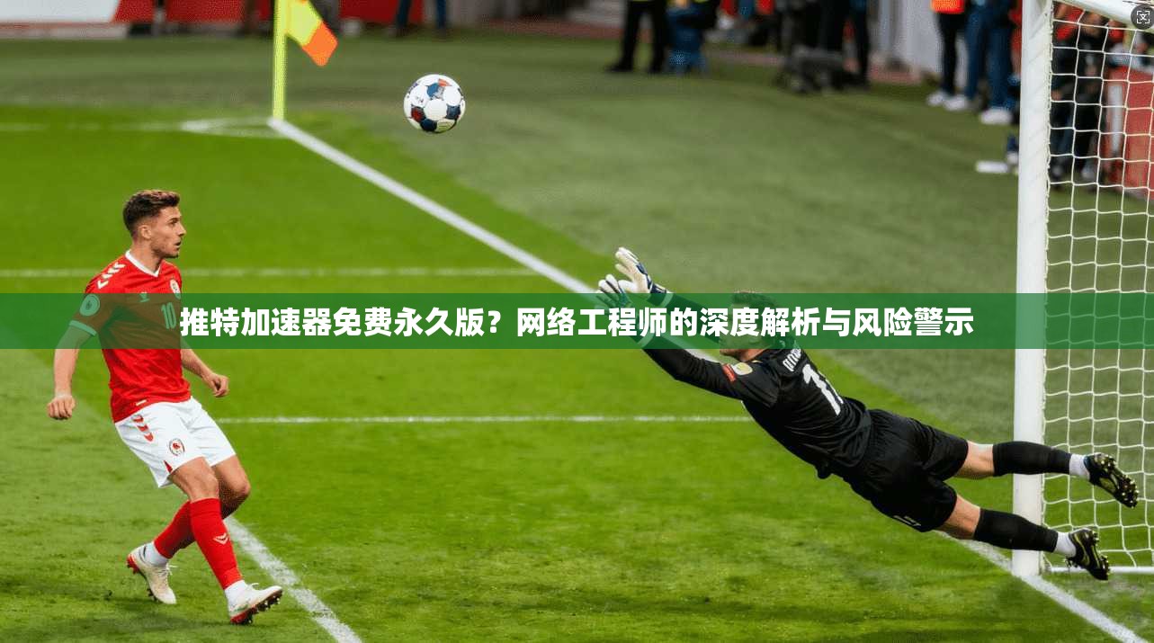 推特加速器免费永久版?网络工程师的深度解析与风险警示 推特加速器免费永久版?网络工程师的深度解析与风险警示