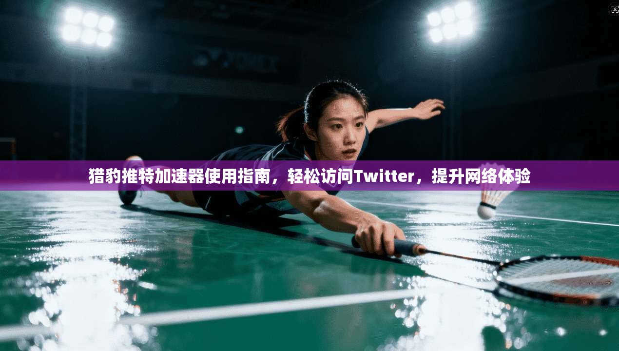 猎豹推特加速器使用指南，轻松访问Twitter，提升网络体验