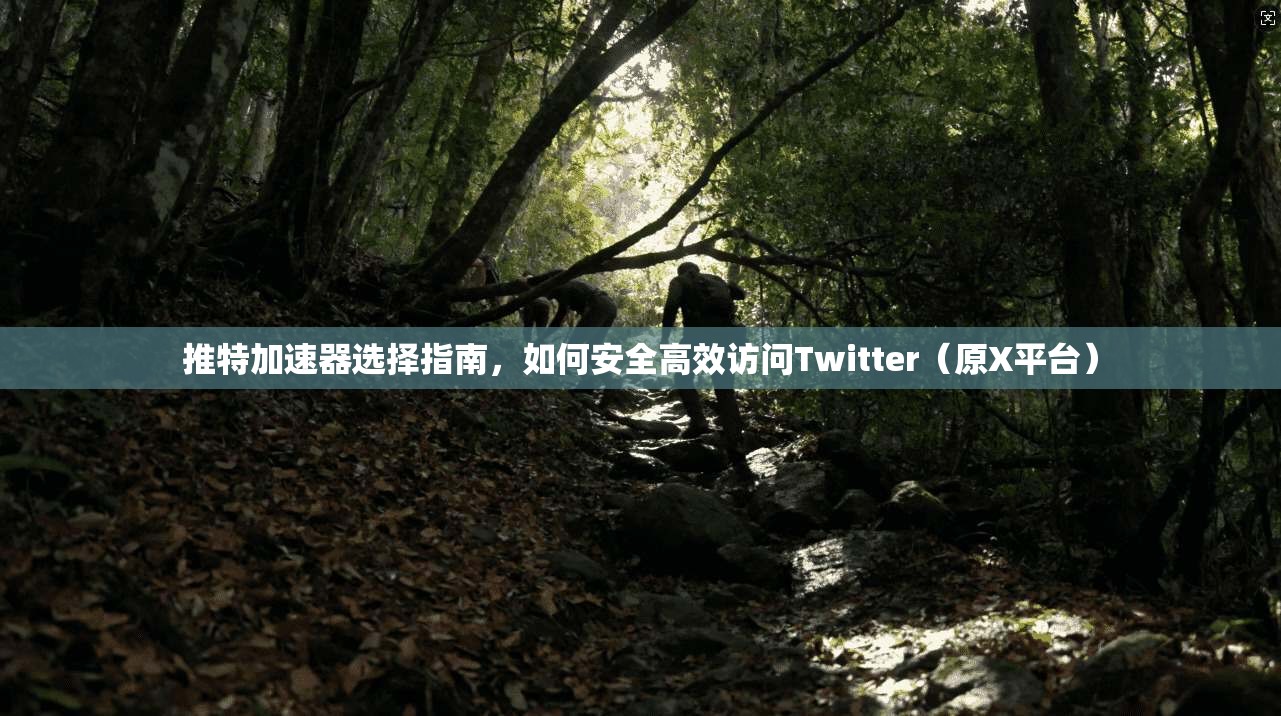 推特加速器选择指南，如何安全高效访问Twitter（原X平台）