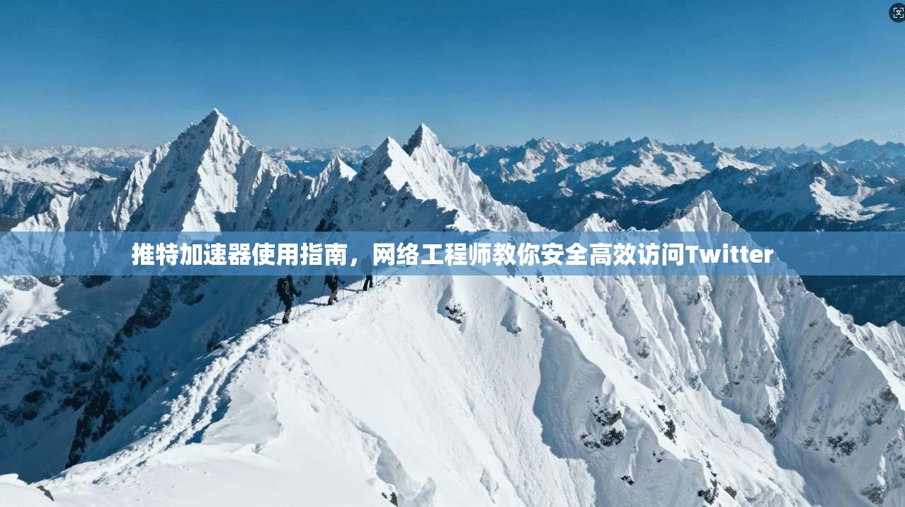 推特加速器使用指南,网络工程师教你安全高效访问Twitter 推特加速器使用指南,网络工程师教你安全高效访问Twitter