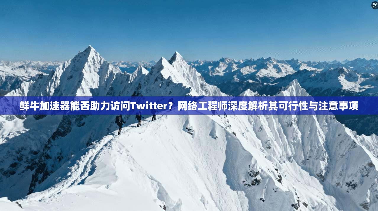 鲜牛加速器能否助力访问Twitter?网络工程师深度解析其可行性与注意事项 鲜牛加速器能否助力访问Twitter?网络工程师深度解析其可行性与注意事项