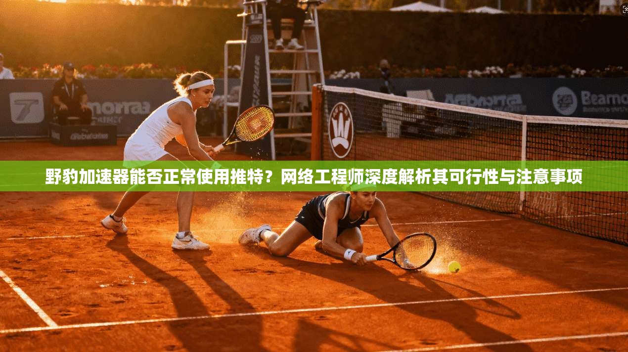 野豹加速器能否正常使用推特？网络工程师深度解析其可行性与注意事项