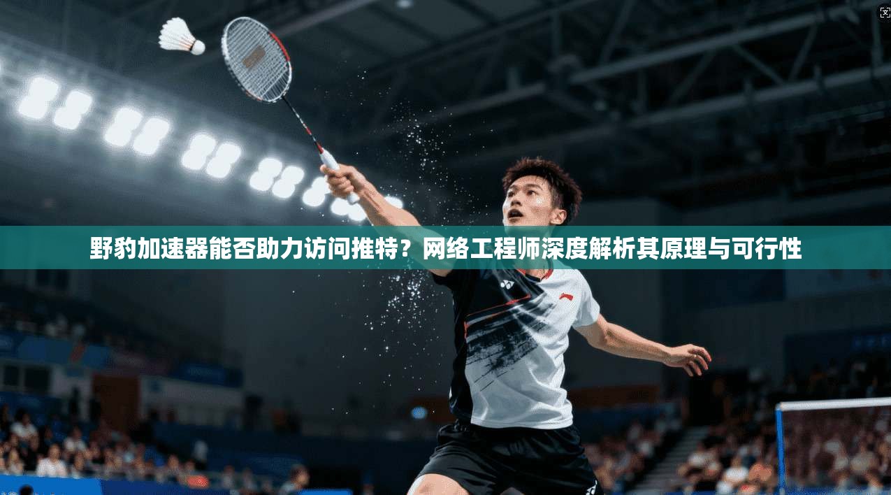 野豹加速器能否助力访问推特?网络工程师深度解析其原理与可行性 野豹加速器能否助力访问推特?网络工程师深度解析其原理与可行性