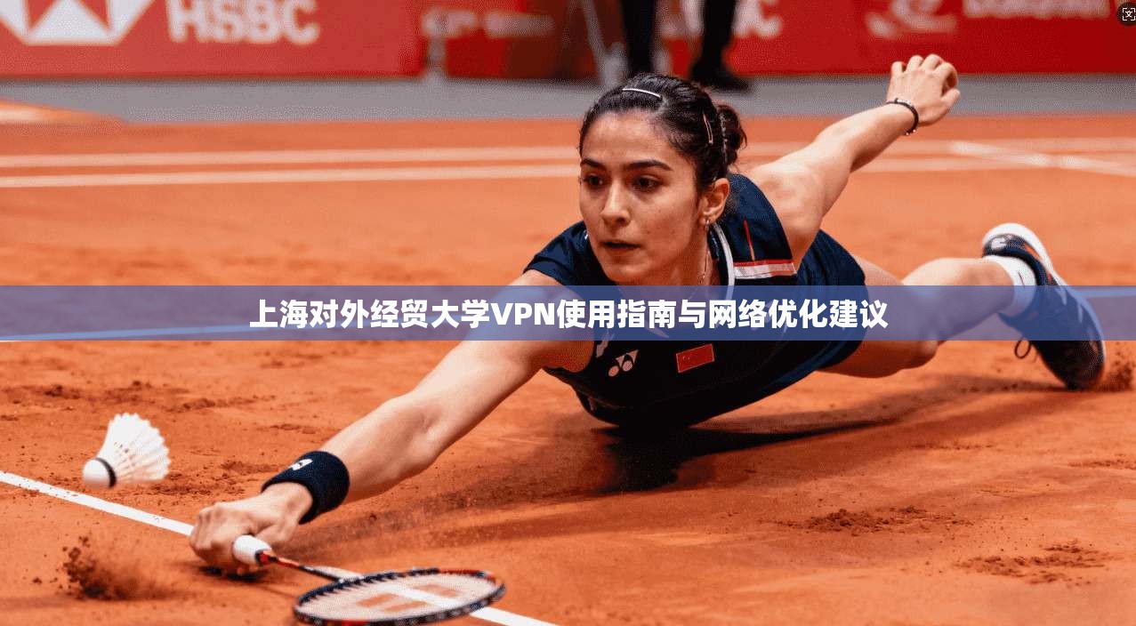 上海对外经贸大学VPN使用指南与网络优化建议